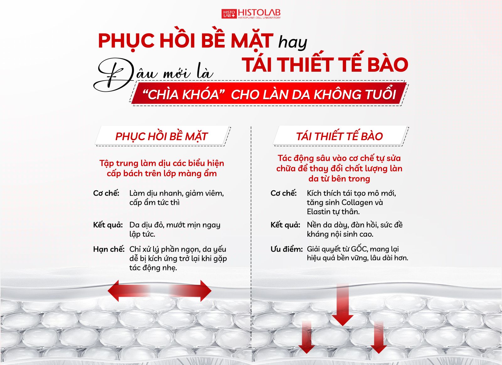 phuc-hoi-tai-thiet