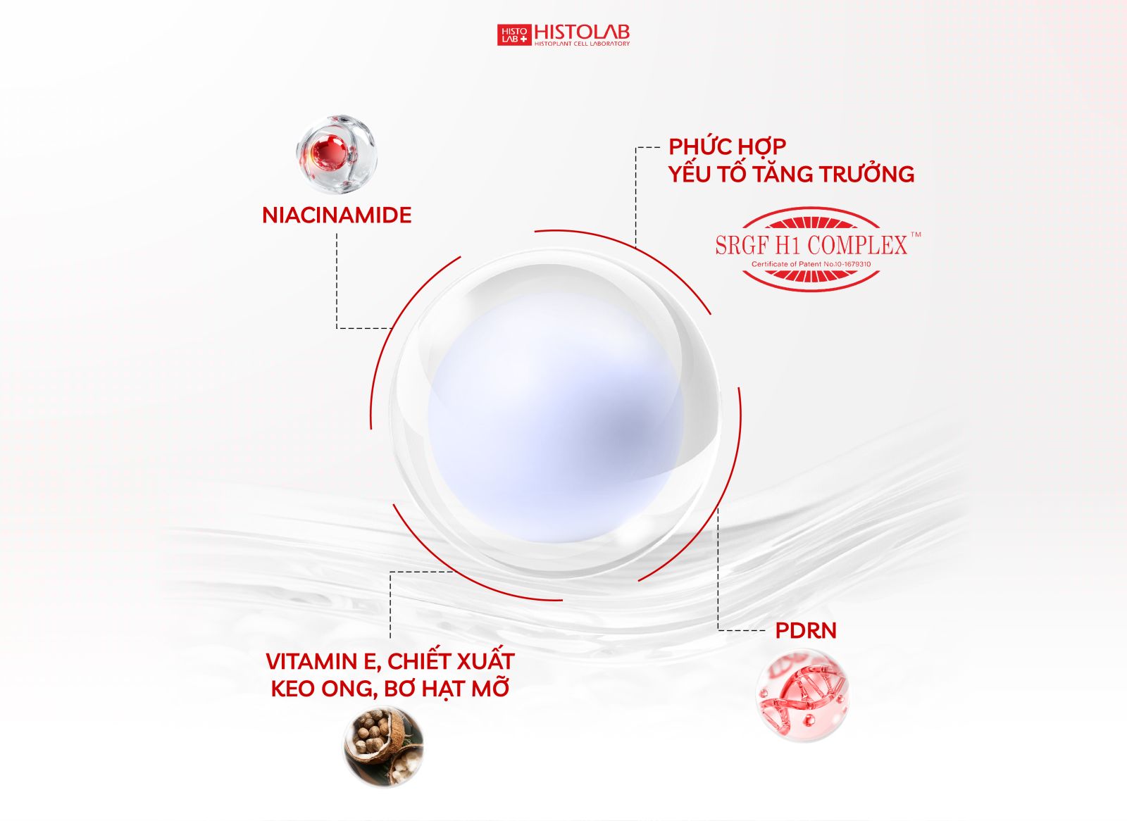 chon-azulene-histolab-cho-lan-da