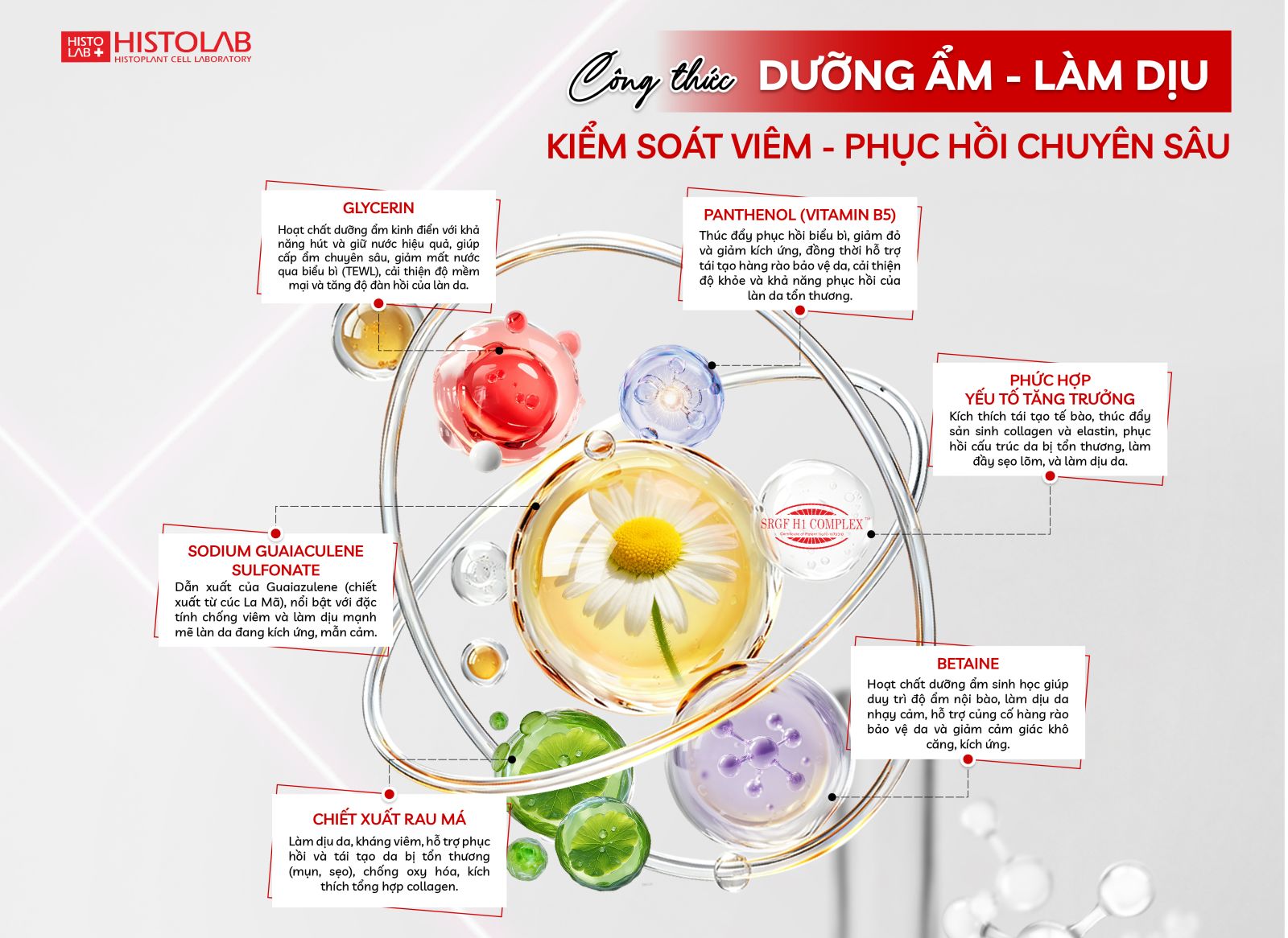 su-ket-hop-hoan-hao-giua-azulene-tu-nhien-va-cac-hoat-chat-cap-am-chuyen-sau