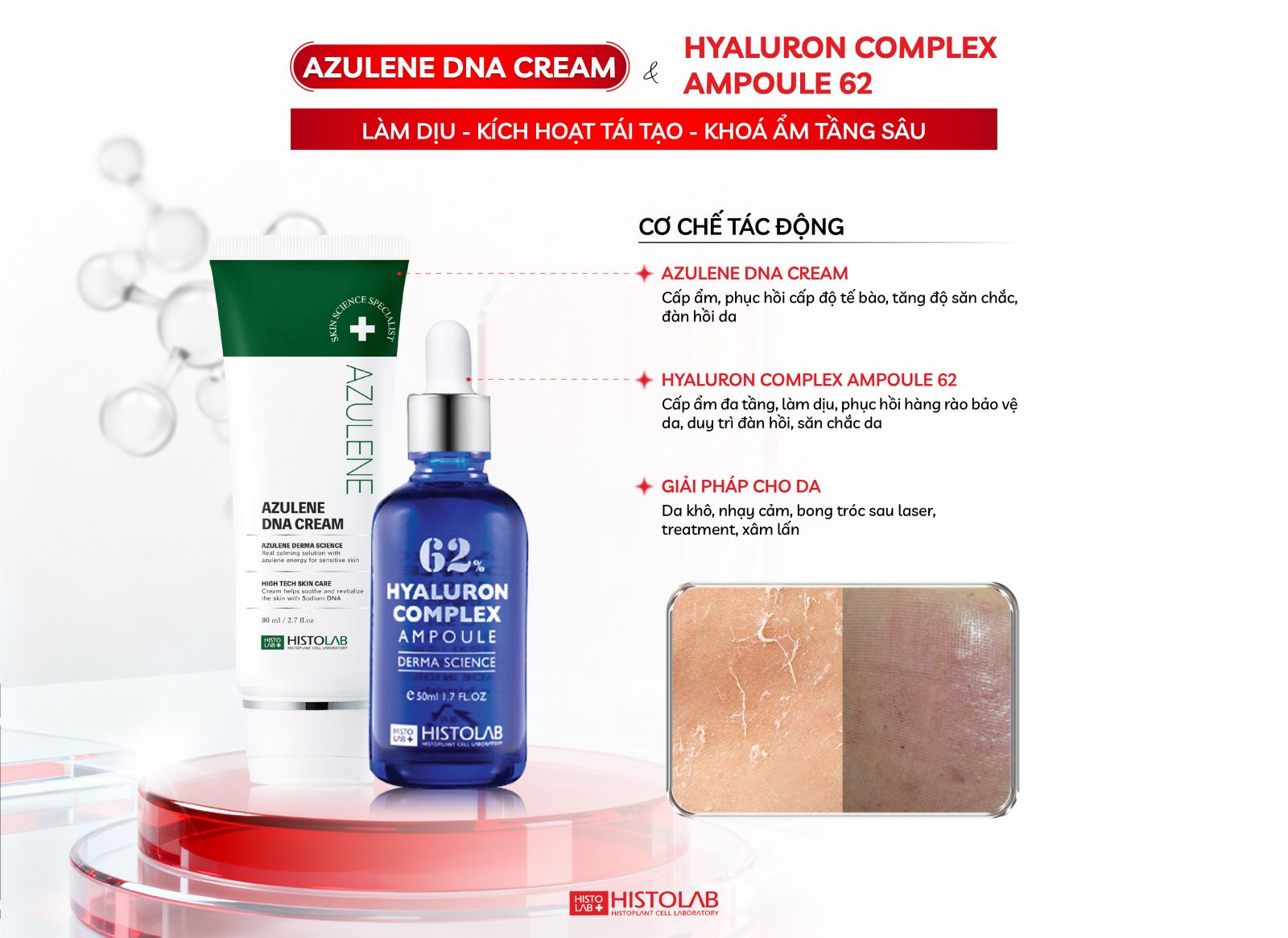 azulene-dna-cream-hyaluron-complex-ampoule-62