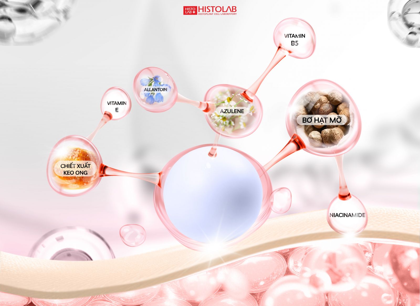 thanh-phan-azulene-dna-cream-histolab