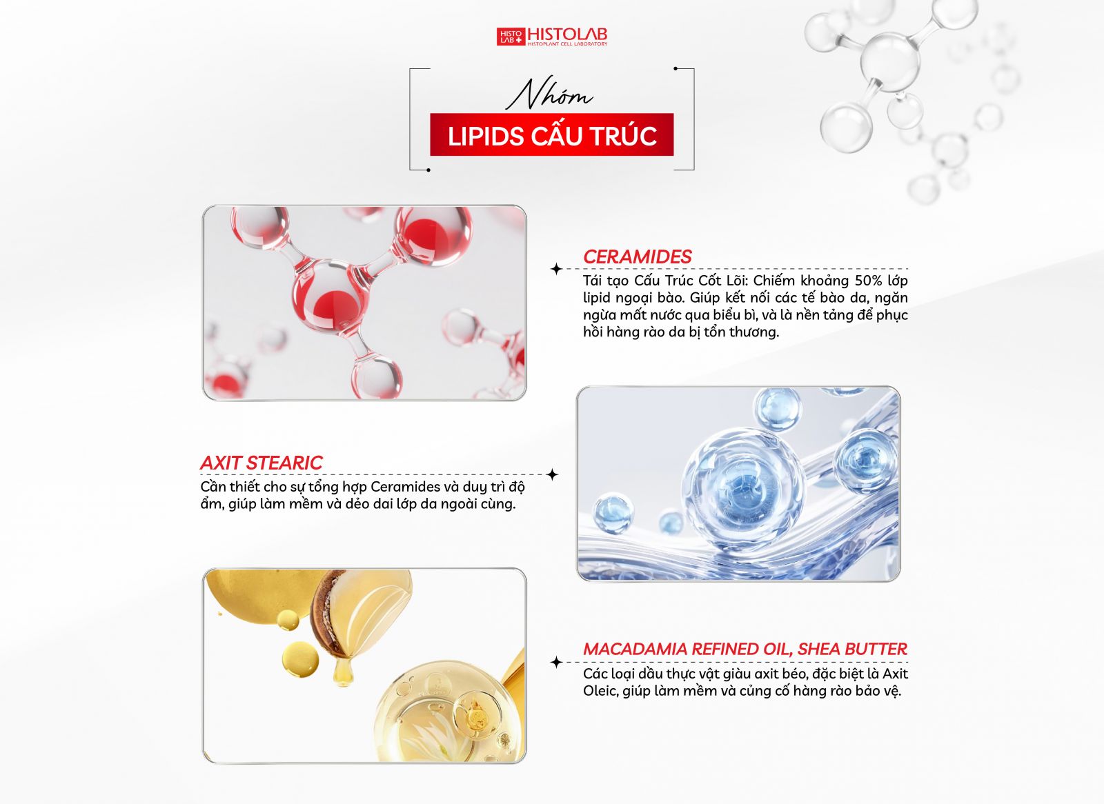 nhom-lipid-cau-truc-cho-da