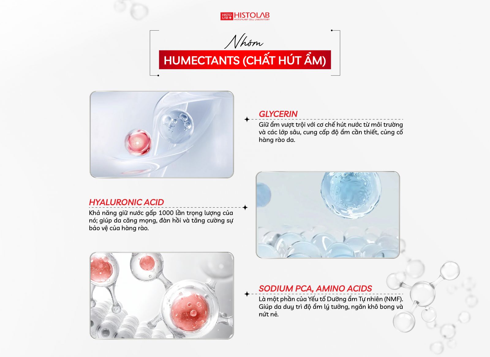 nhom-humectants-cap-am