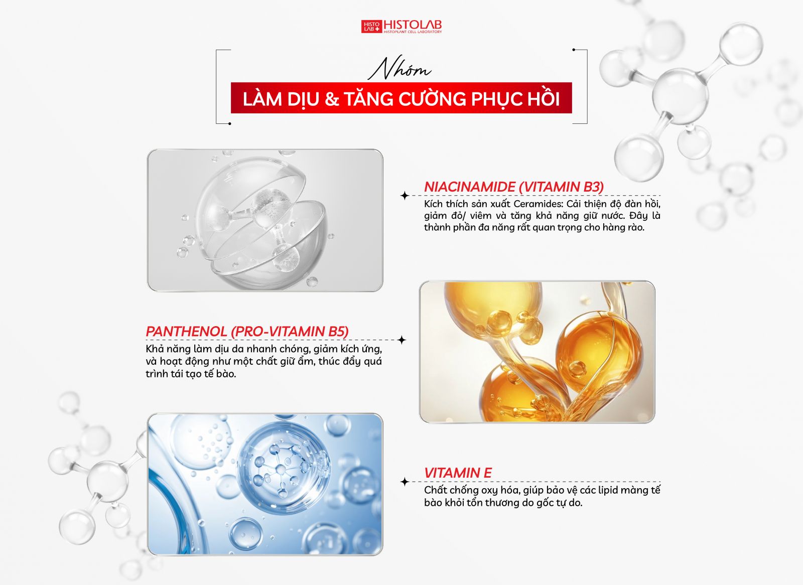 nhom-lam-diu-tang-cuong-phuc-hoi