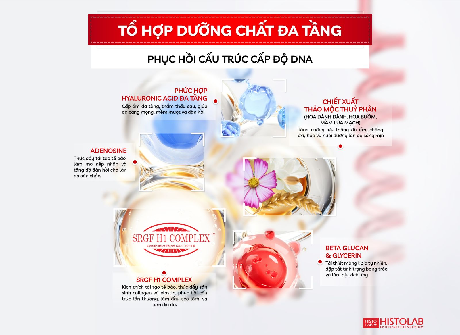to-hop-duong-chat-da-tang-triple-whitening-histolab