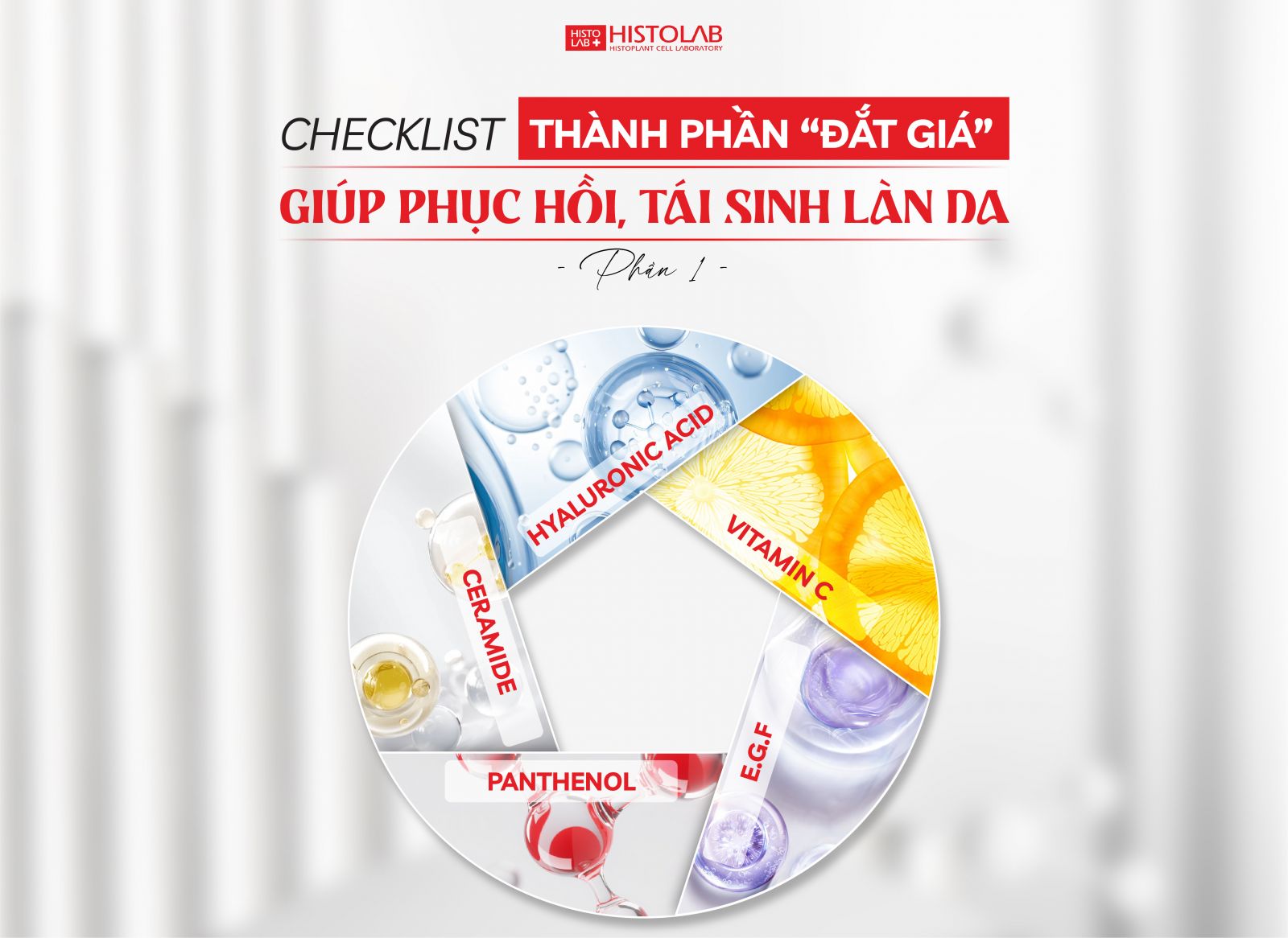 check-list-thanh-phan-dac-gia-giup-da-phuc-hoi
