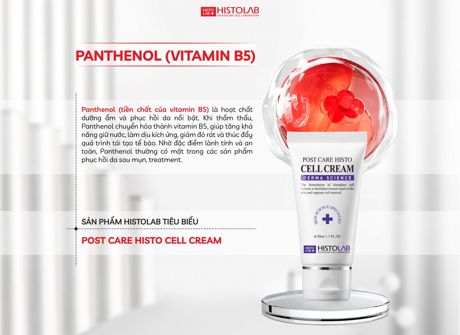 thanh-phan-cham-da-panthenol-vitamin-b5