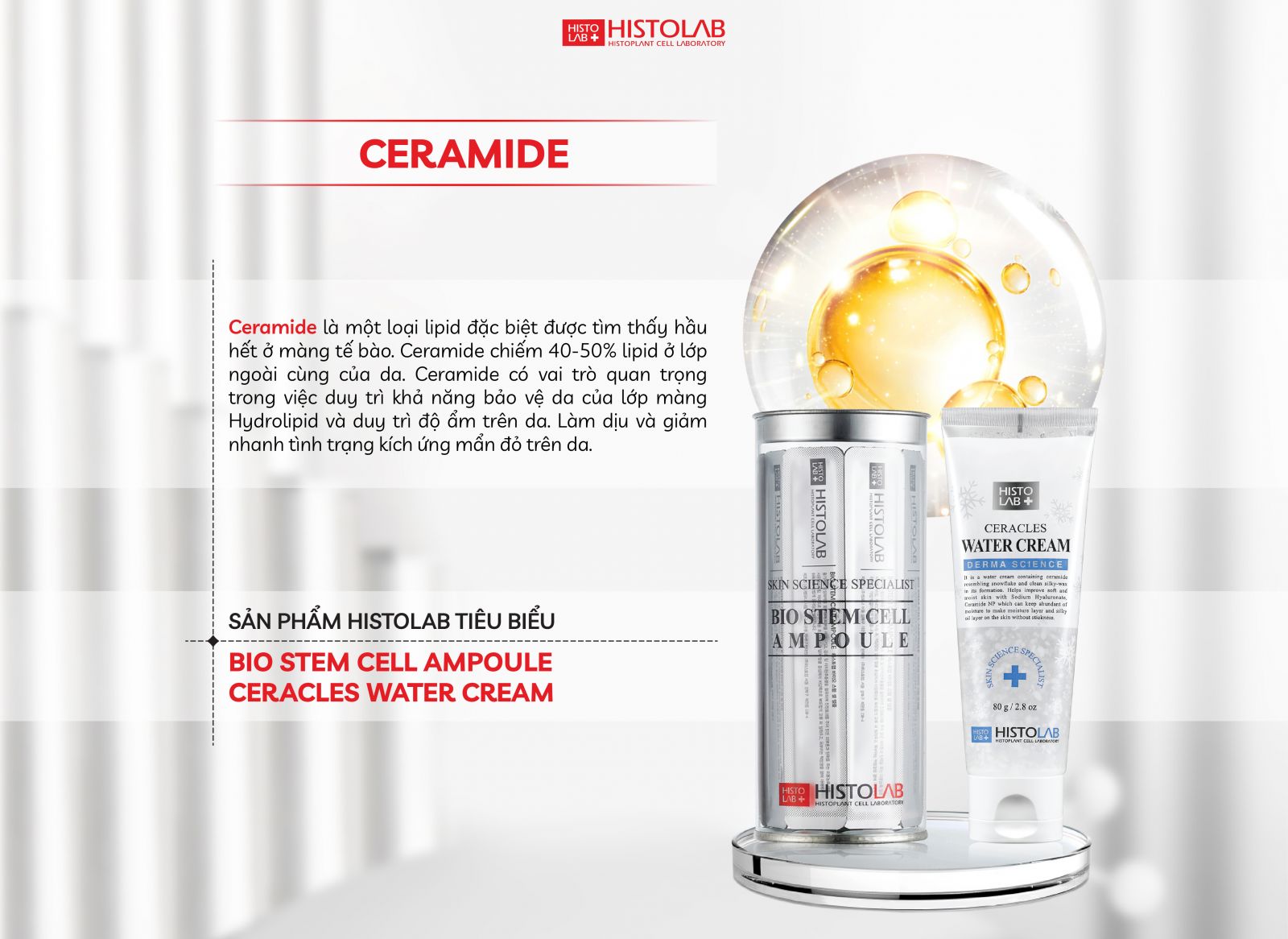 thanh-phan-cham-da-ceramide