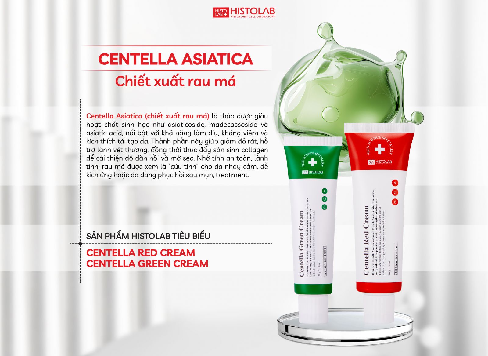 thanh-phan-cham-da-centella-asiatica