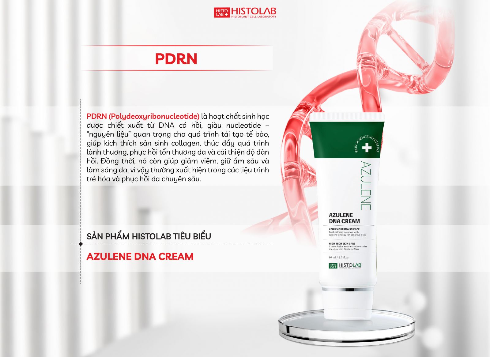 thanh-phan-cham-da-pdrn-dna-ca-hoi
