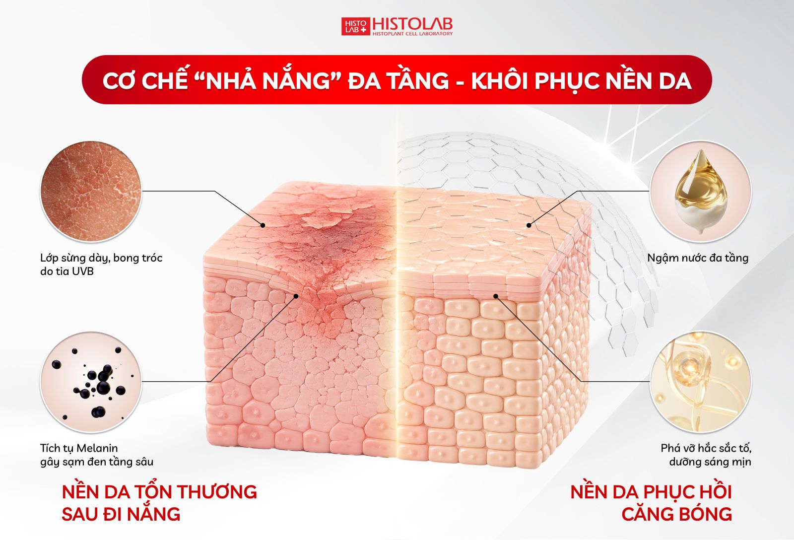 CÁCH NHẢ NẮNG CẤP TỐC: LỘ TRÌNH 4 BƯỚC PHỤC HỒI LÀN DA SẠM MÀU SAU ĐI DU LỊCH