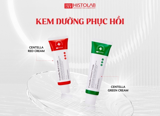 KEM DƯỠNG PHỤC HỒI CENTELLA RED CREAM VÀ CENTELLA GREEN CREAM