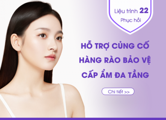 Quy trình số 22: HỖ TRỢ CỦNG CỐ HÀNG RÀO BẢO VỆ, CẤP ẨM ĐA TẦNG