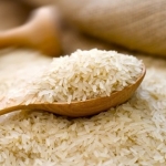 <b>Chiết xuất nuôi cấy mầm gạo/ mô sẹo cà chua</b> giúp dưỡng ẩm và  cung cấp dưỡng chất cho da